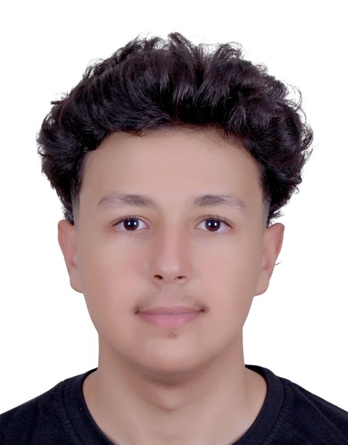 Portrait of Walid Ichchou